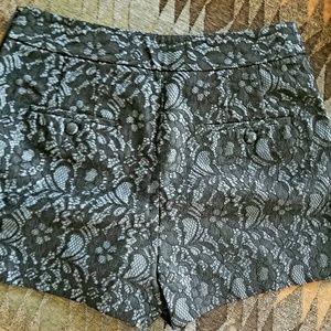 Lace Shorts
